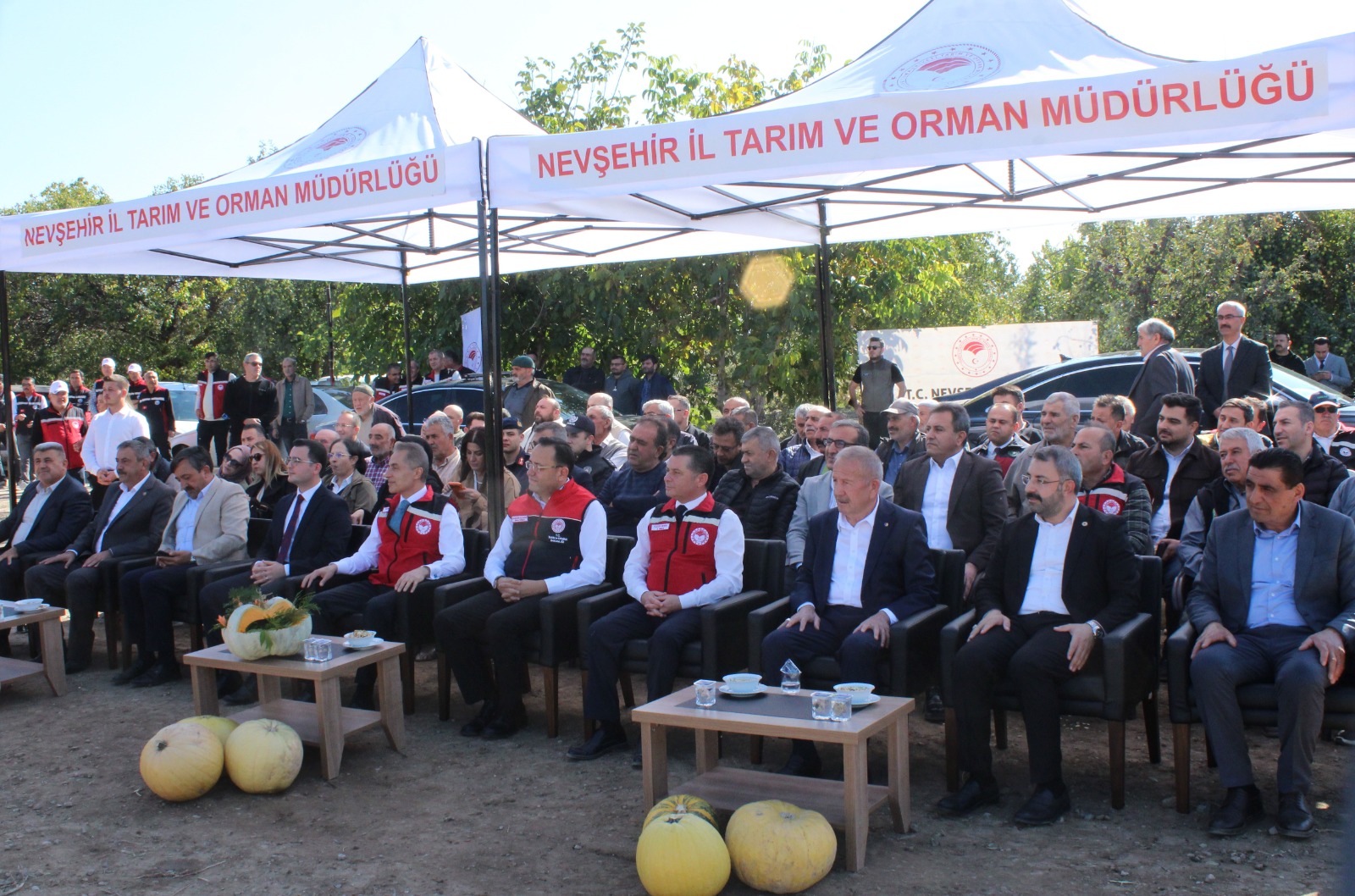 Başkan Salaş, Çerezlik Kabak Çekirdeği Hasat Programına Katıldı